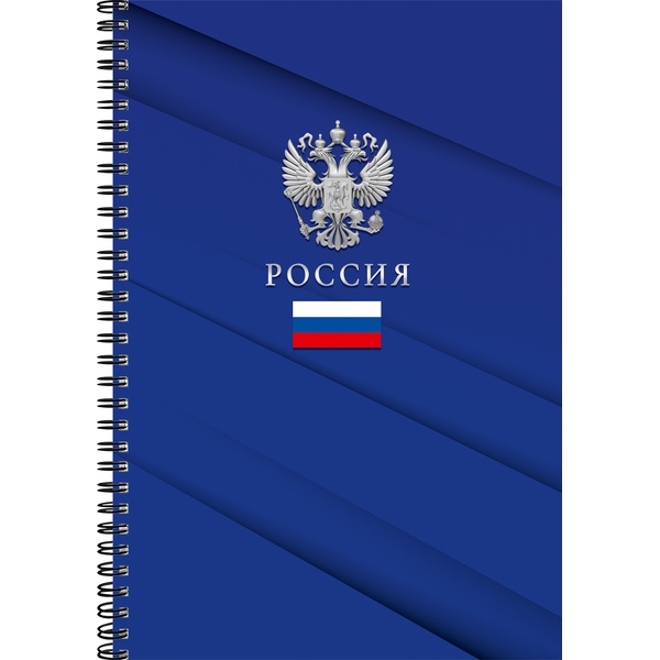 Тетрадь А4, клетка, 60 л., на гребне, 60 г/м², мел. бумага, Profit Символика России - 7