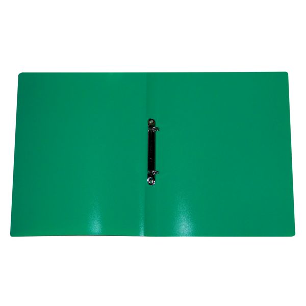 Папка на 2-х кольцах, А4, PP 500 мкм, "песок", 25 мм, Expert Complete Classic_зеленая