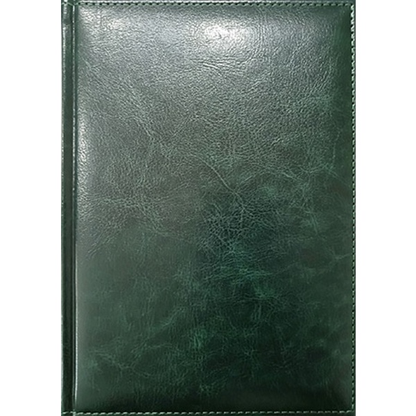 Ежедневник недатированный, B5, 72 л., 60 г/м2, тв. перепл., и/к, поролон, Plano Venice_зеленый  Акция!