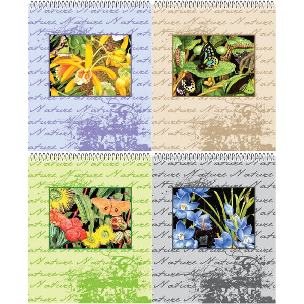 Блокнот на пружине А5, 50 л., клетка, 65 г/м², обл. мел. картон, уф-лак, КБК Живая природа_4 дизайна