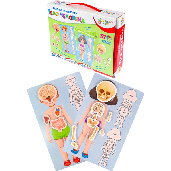 Игра магнитная. Тело человека, 3+ Игра магнитная. Тело человека, 3+
