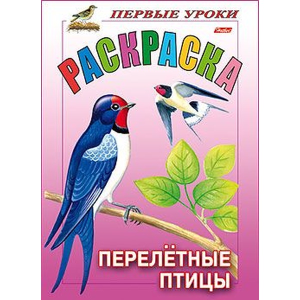 Раскраска А5 с образцами ПЕРВЫЕ УРОКИ. Перелетные птицы (АКЦИЯ!)