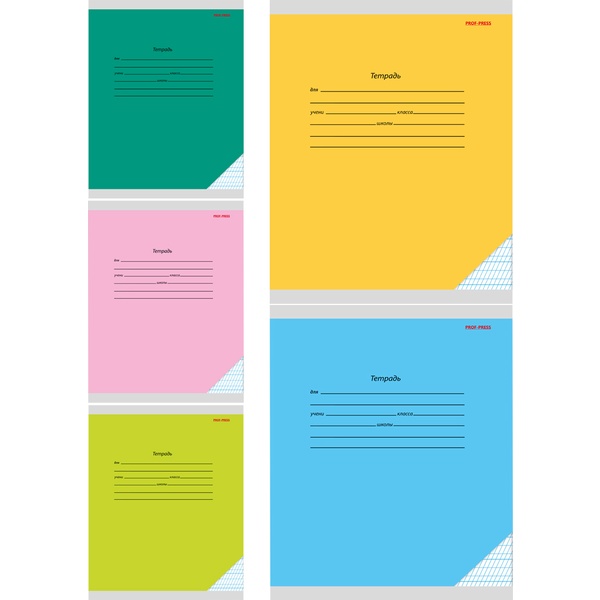 Тетрадь А5, частая косая с доп. горизонт., 12 л., на скобе, 60 г/м², Prof-Press Классика_5 дизайнов