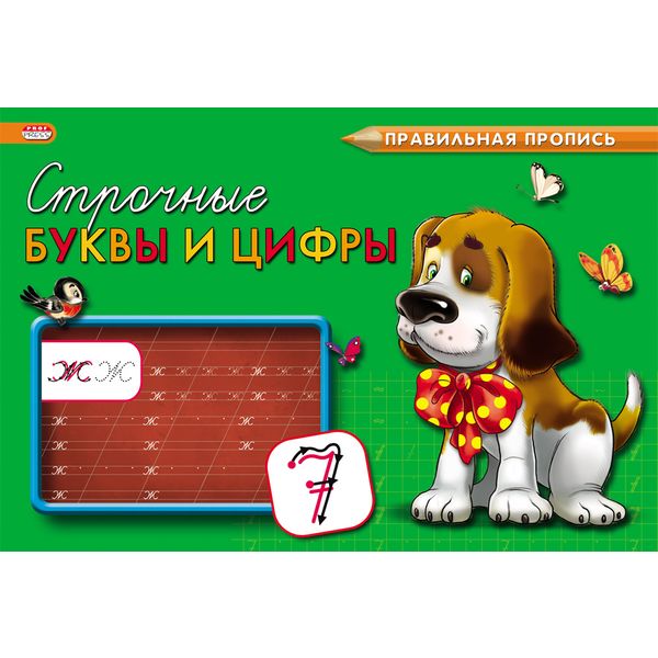 Правильная пропись А5. Строчные буквы и цифры (альб. ориент.)