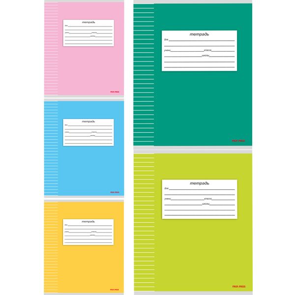 Тетрадь А5, линия, 18 л., на скобе, 60 г/м², мел. облож., Prof-Press Классика-2_5 дизайнов