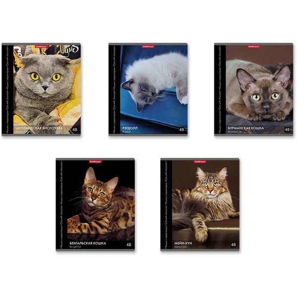 Тетрадь А5, клетка, 48 л., на скобе, 60 г/м², ErichKrause Энциклопедия_Кошки с характером_5 дизайнов