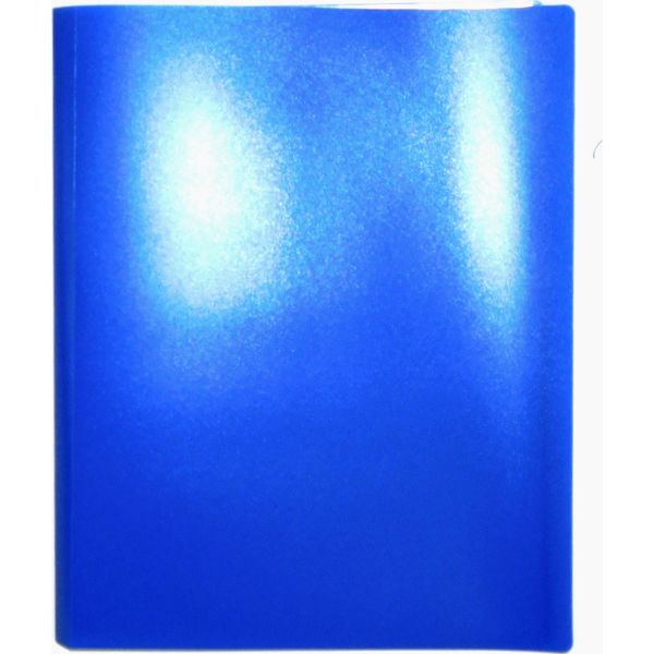 Папка с 20 файлами А4, PP 450/42 мкм, "песок", Expert Complete Classic/ Синяя