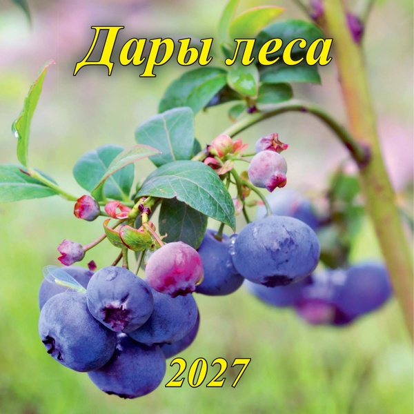 Календарь настенный перекидной 2027 г. (квартальный моно) Дары леса, 285*285 мм, на скобе
