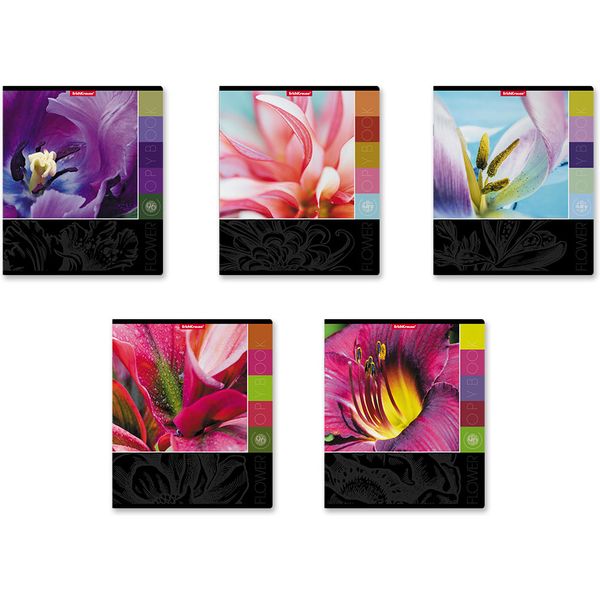 Тетрадь А5, клетка, 96 л., на скобе, 60 г/м², уф-лак, ErichKrause Цветовая палитра_5 дизайнов