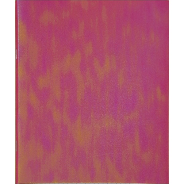 Тетрадь А5, клетка, 48 л., на скобе, 60 г/м², диз. карт., глит. напыление, Alingar Коралловый хамелеон