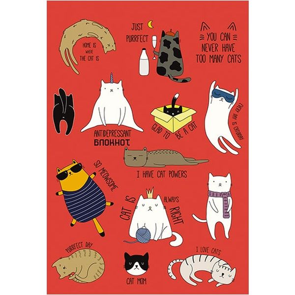 Блокнот на гребне А5, 100 л., клетка, 60 г/м², вд-лак, PLANO Прикольные кошки   Акция!