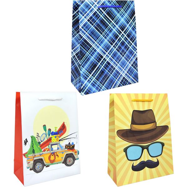 Пакет подарочный, 18*24*8 см, мел. бумага, Мужской вид_3 дизайна Акция!