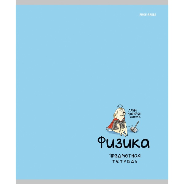 Тетрадь предметная А5, 48 л., клетка, 60 г/м², тисн. "лен", Prof-Press Mini Friends_Физика