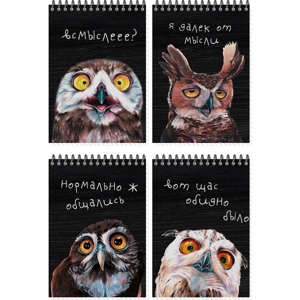 Блокнот на гребне А6, 60 л., нелинованный, 90 г/м², вд-лак, ПОЛИНОМ Совы_4 дизайна