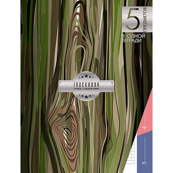 Тетрадь А5, клетка, 128 л., на сшивке (КШС), 70 г/м², инт. обл., мат. лам., 5 раздел., КТС-ПРО Экостиль Акция!