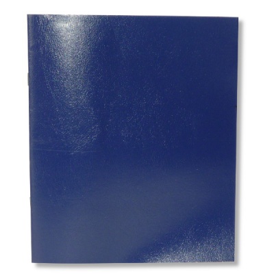 Тетрадь А5, 48 л., клетка, 60 г/м², на скобе, облож. бумвинил, Prof-Press_синяя