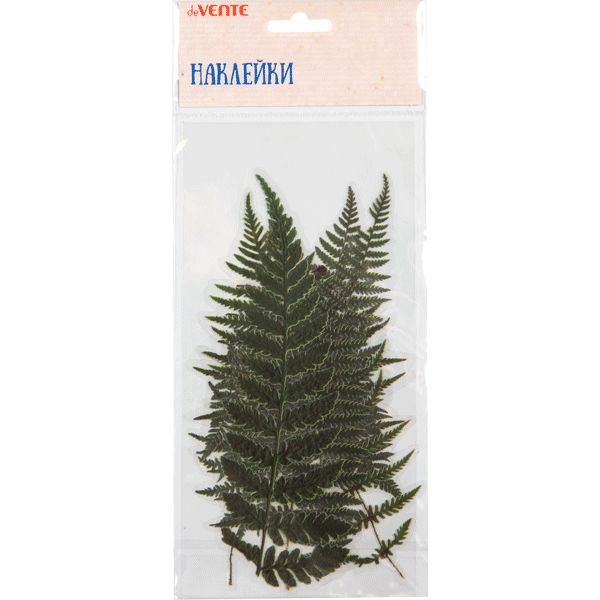 Наклейки для творчества deVENTE Гербарий_Листья папоротника, PVC, 6 шт. (от 50 до 200 мм) Наклейки для творчества deVENTE Гербарий_Листья папоротника, PVC, 6 шт. (от 50 до 200 мм)