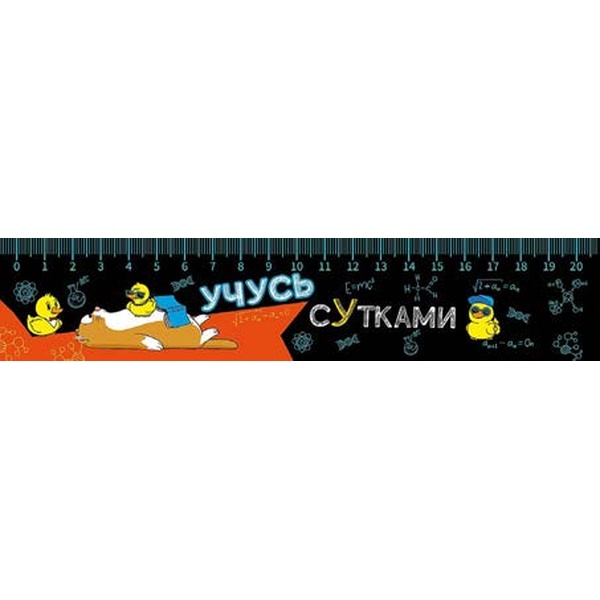 Закладка-линейка пластиковая, 220*40 мм, ПЧЕЛКА Учусь сУтками