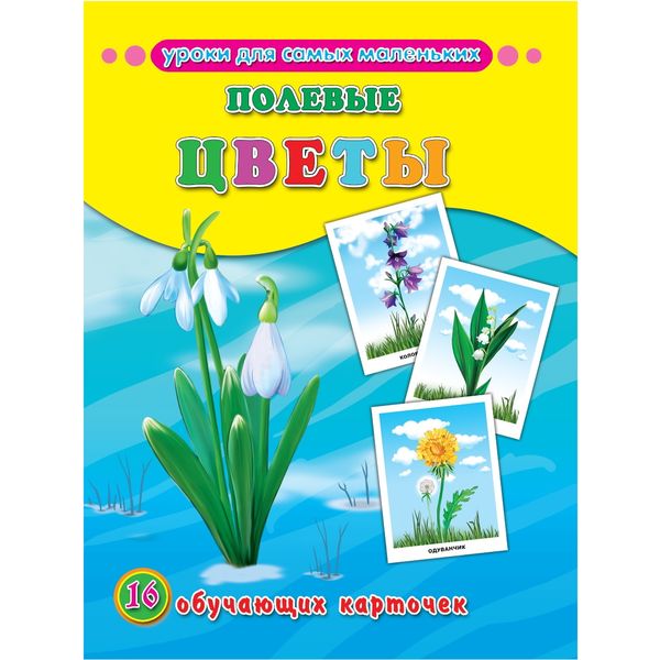 Карточки обучающие. Уроки для самых маленьких. Полевые цветы, 16 шт.   Акция