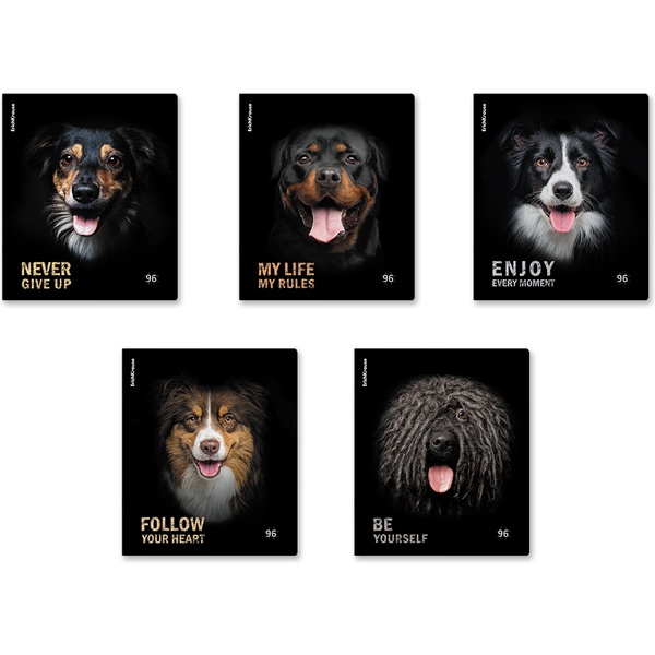 Тетрадь А5, клетка, 96 л., на скобе, 60 г/м², мат. лам., ErichKrause Собаки_MIX-PACK