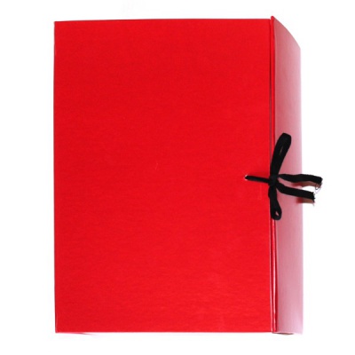 Папка архивная А4, бумвинил, 2 завязки, 100 мм (1000 л.), складывающаяся, бордовая, ИМИДЖ