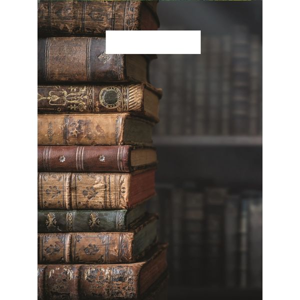 Пакет с вырубной ручкой, 48*37 см, полиэтилен 50 мкм, Библиотека