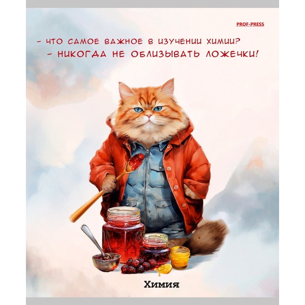 Тетрадь предметная А5, 48 л., клетка, 60 г/м², Prof-Press Жил был кот_Химия