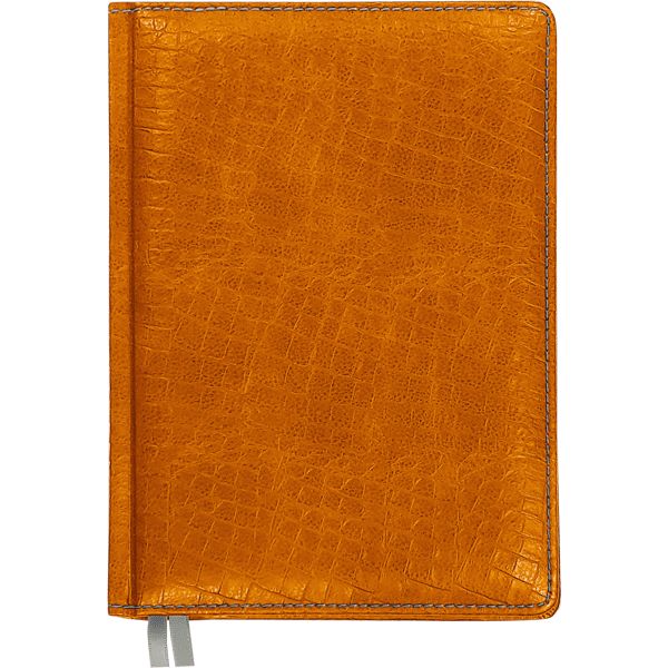 Ежедневник недатированный, А5, 160 л., 70 г/м2, тв. перепл., и/к"croco", поролон, Attomex Croco_коричневый Ежедневник недатированный, А5, 160 л., 70 г/м2, тв. перепл., и/к"croco", поролон, Attomex Croco_коричневый