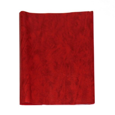 Обложка для классного журнала, 310*440 мм, PVC 300 мкм, непрозрачная, красная, DPSkanc