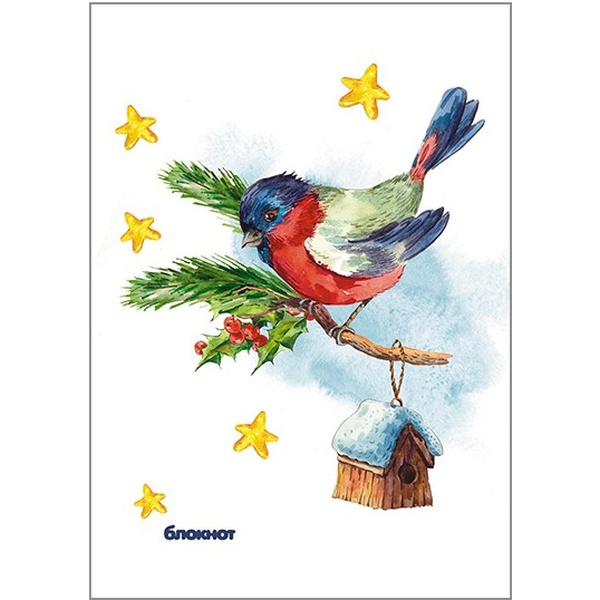 Блокнот на гребне А6, 48 л., клетка, 60 г/м², блестки, PLANO Снегирь   Акция!