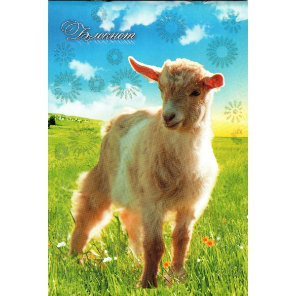 Блокнот на скобе А5, 32 л., клетка, 60 г/м², выб. лак, блестки, PLANO Солнечная овца   Акция!