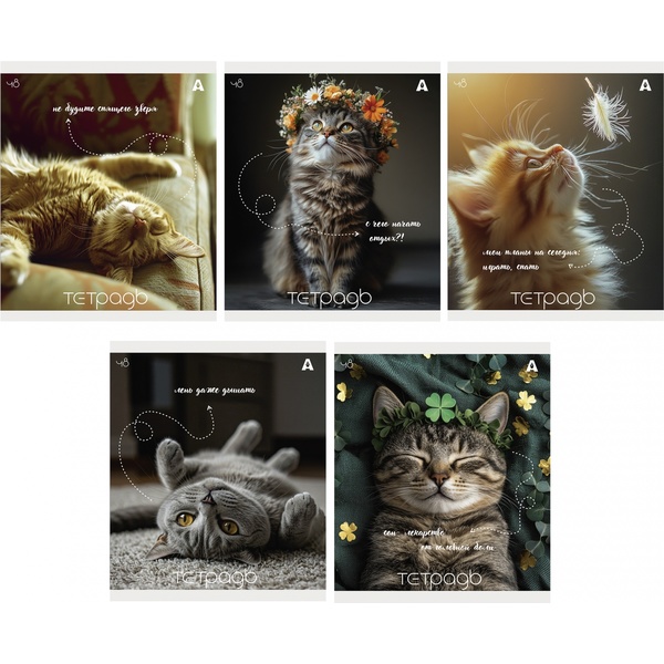 Тетрадь А5, клетка, 48 л., на скобе, 60 г/м², выб. лак, Alingar Кошки_5 дизайнов