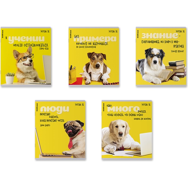 Тетрадь А5, клетка, 36 л., на скобе, 60 г/м², ErichKrause Ученые собаки_5 диз._MIX-PACK
