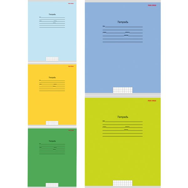 Тетрадь А5, клетка, 24 л., на скобе, 60 г/м², мел. облож., Prof-Press Учусь на отлично-9_5 дизайнов Акция!