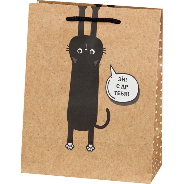 Пакет подарочный, 18*23*10 см, крафт-бумага 130 г/м², Черный котик Акция!