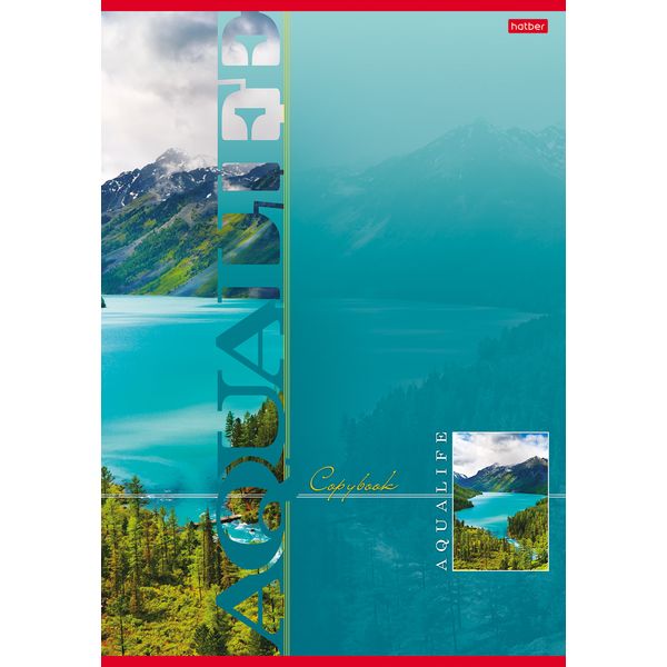 Тетрадь А4, клетка, 80 л., на скобе, 60 г/м², выб. мат. лак, Hatber Аквалайф_3 дизайна