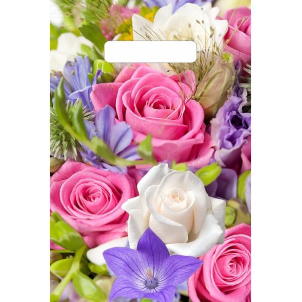 Пакет с вырубной ручкой, 30*20 см, полиэтилен 30 мкм, Лирика Пакет с вырубной ручкой, 30*20 см, полиэтилен 30 мкм, Лирика