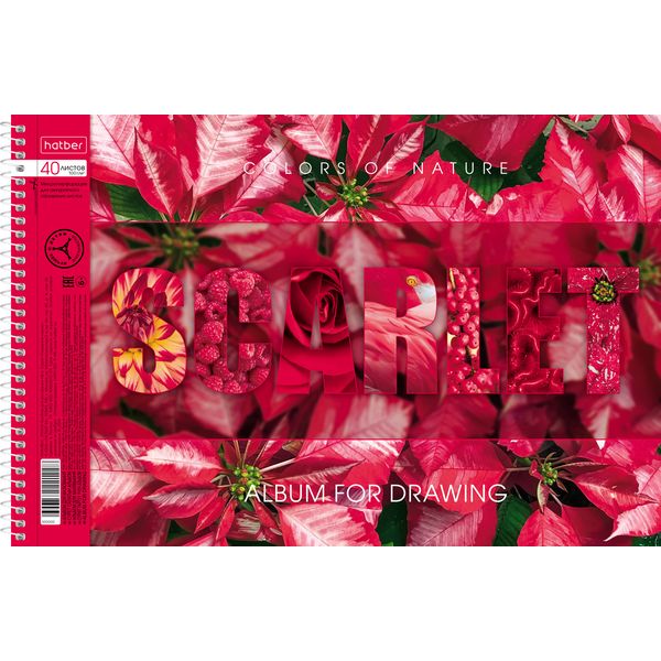 Альбом для рисования А4, 40 л., спираль, 100 г/м², обл. мел. карт., отр. перф., Hatber Гармония цвета_4 дизайна