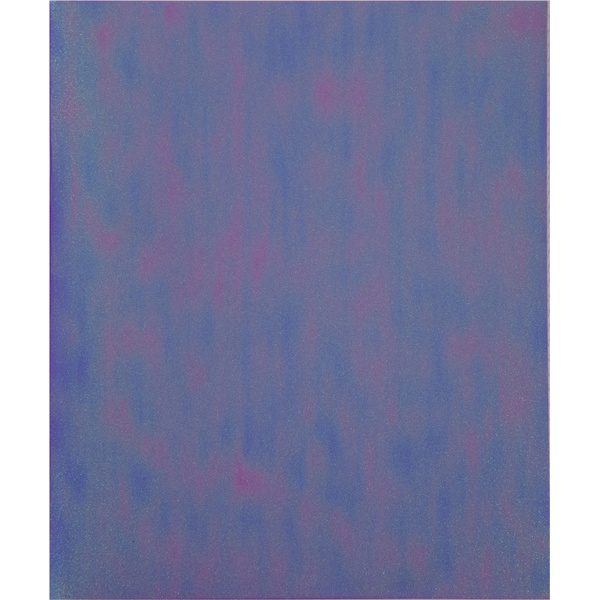 Тетрадь А5, клетка, 48 л., на скобе, 60 г/м², диз. карт., глит. напыление, Alingar Фиолетовый хамелеон