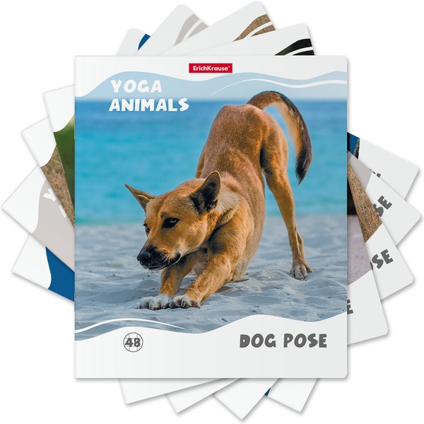 Тетрадь А5, клетка, 48 л., на скобе, 60 г/м², мат. лам., ErichKrause Yoga Style_MIX-PACK Акция!