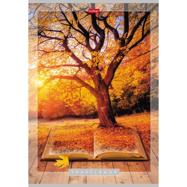 Тетрадь А4, клетка, 80 л., на скобе, 60 г/м², выб. лак, Hatber Книга странствий_3 дизайна