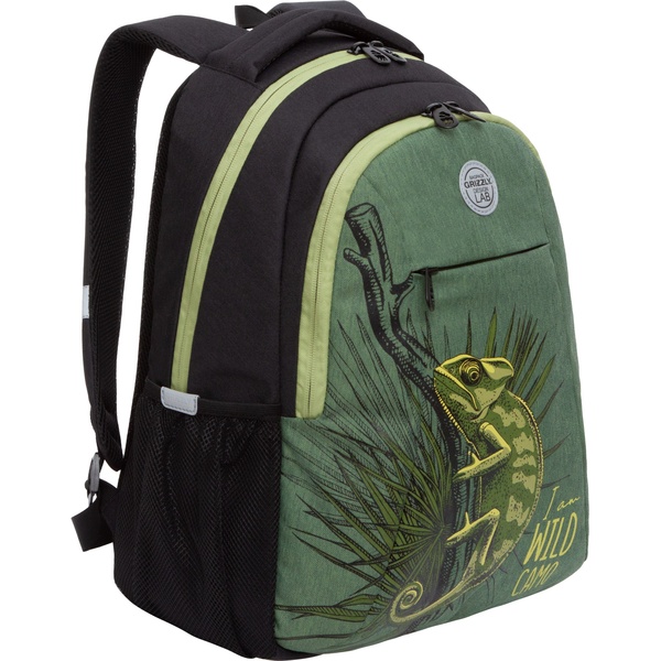 Рюкзак ученический GRIZZLY Хамелеон, 42*31*18 см, 16 л, 585 г, 2 отд, эрг. спинка