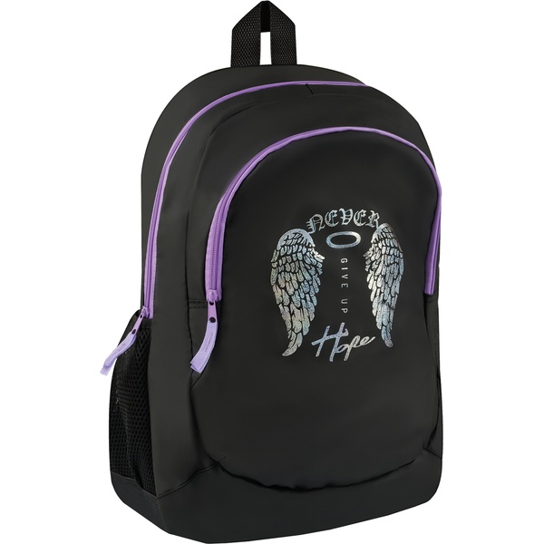 Рюкзак ученический ArtSpace Classic_Wings, 45*30*16 см, 21.6 л, 960 г, 2 отд., эрг. спинка  Акция!