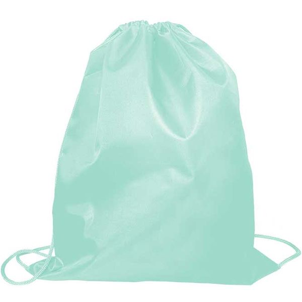 Сумка для сменной обуви ПЧЕЛКА, 42*34 см, мятная Акция!