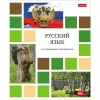 Тетрадь предметная А5, 48 л., линия, 65 г/м², мел. обл., Hatber Цветная мозаика_Русский язык