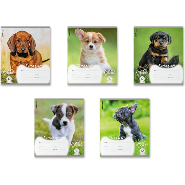 Тетрадь А5, клетка, 12 л., на скобе, 60 г/м², ErichKrause Щенки_MIX-PACK Акция!