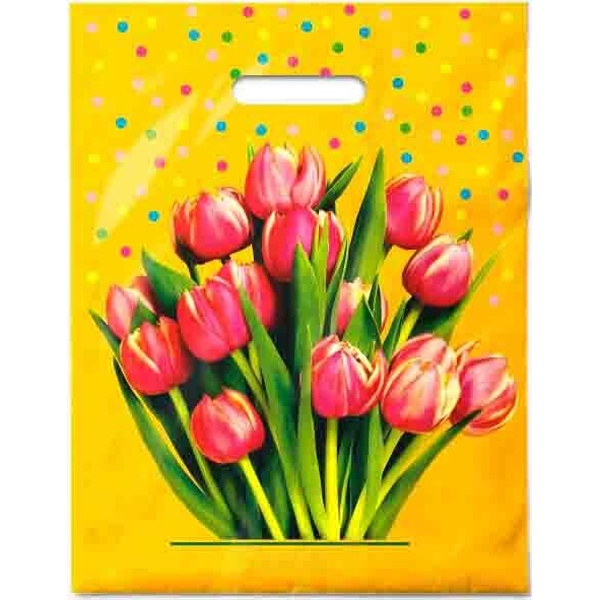 Пакет с вырубной ручкой, 31*40 см, полиэтилен 60 мкм, Солнечный букет