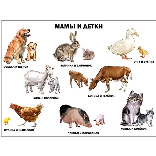 Плакат А2. Мамы и детки, изд. Prof-Press Плакат А2. Мамы и детки, изд. Prof-Press