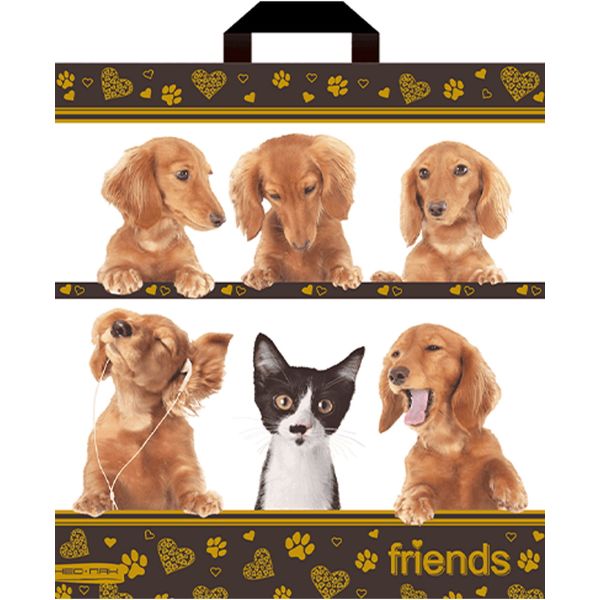 Пакет с петлевой ручкой, 40*38 см, полиэтилен 40 мкм, Верные друзья Пакет с петлевой ручкой, 40*38 см, полиэтилен 40 мкм, Верные друзья