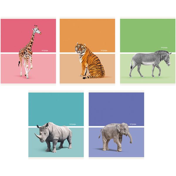 Тетрадь 48 л., клетка, 60 г/м2, обл. мел. картон, Listoff Wild animals_5 дизайнов Тетрадь 48 л., клетка, 60 г/м2, обл. мел. картон, Listoff Wild animals_5 дизайнов